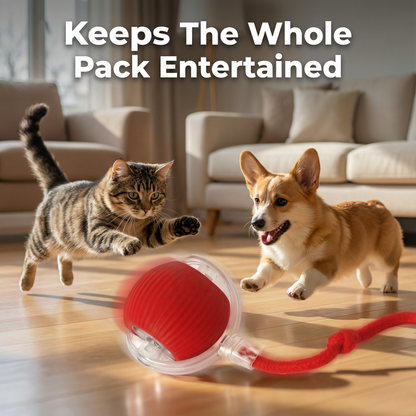 NobeePet™ TurboTail