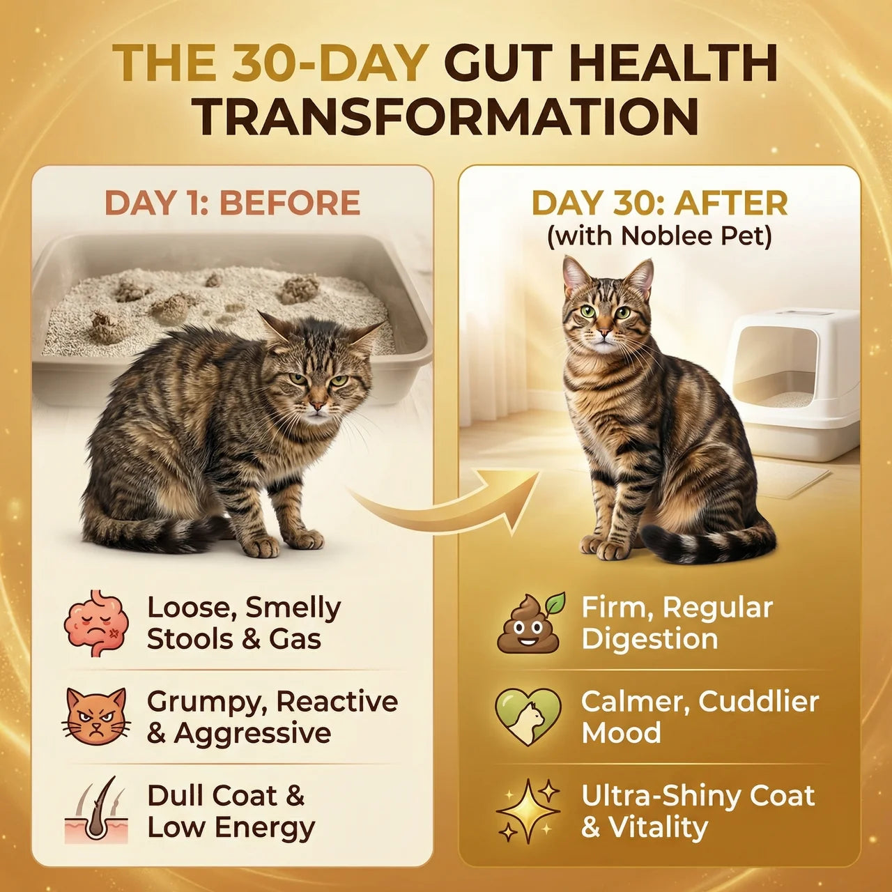 Advanced Cat Probiotic